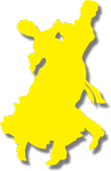 Adult Ballroom Dance Classes 4 dance workshops 125